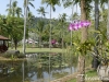 duangjitt-resort-and-spa-hotel-patong-beach-phuket-thailand-10