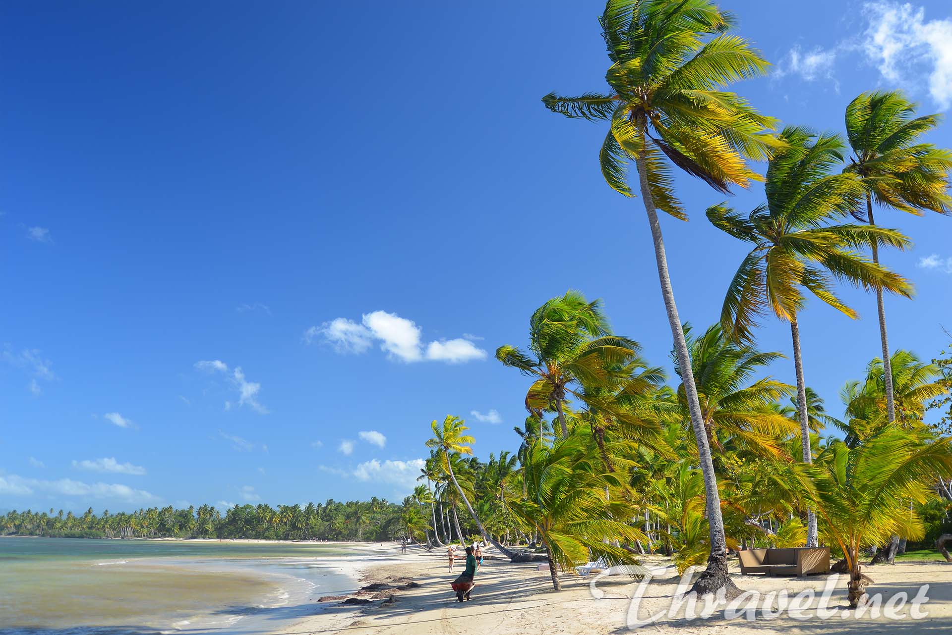 samana-dominican-republic-best-beaches