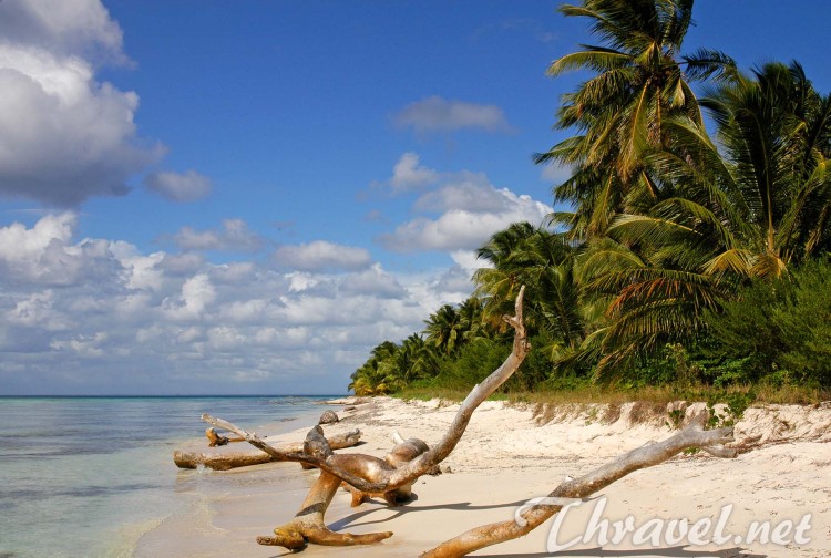 Saona Island - Dominican Republic - camera Nikon D100