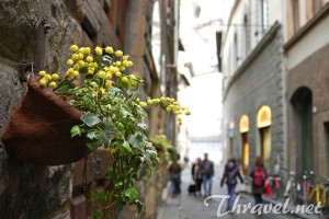 Trip To Florence – Thravel Facts You Should Know