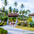 Koh Ngai Paradise Beach Resort Review
